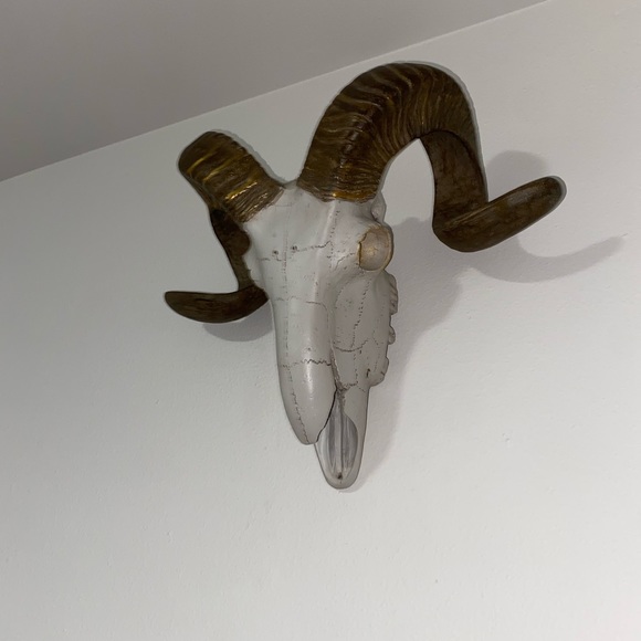 Ram skull